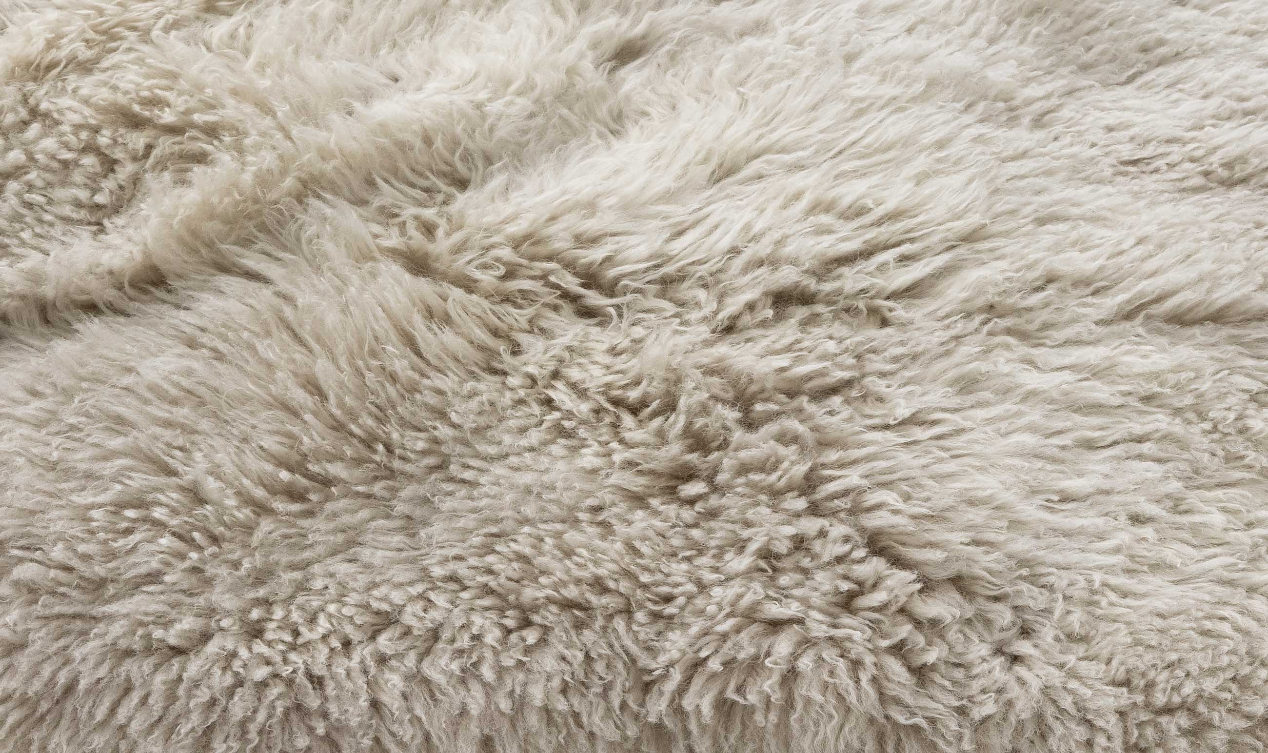 What to Know About Rug Textures Before Buying – Wilson & Dorset