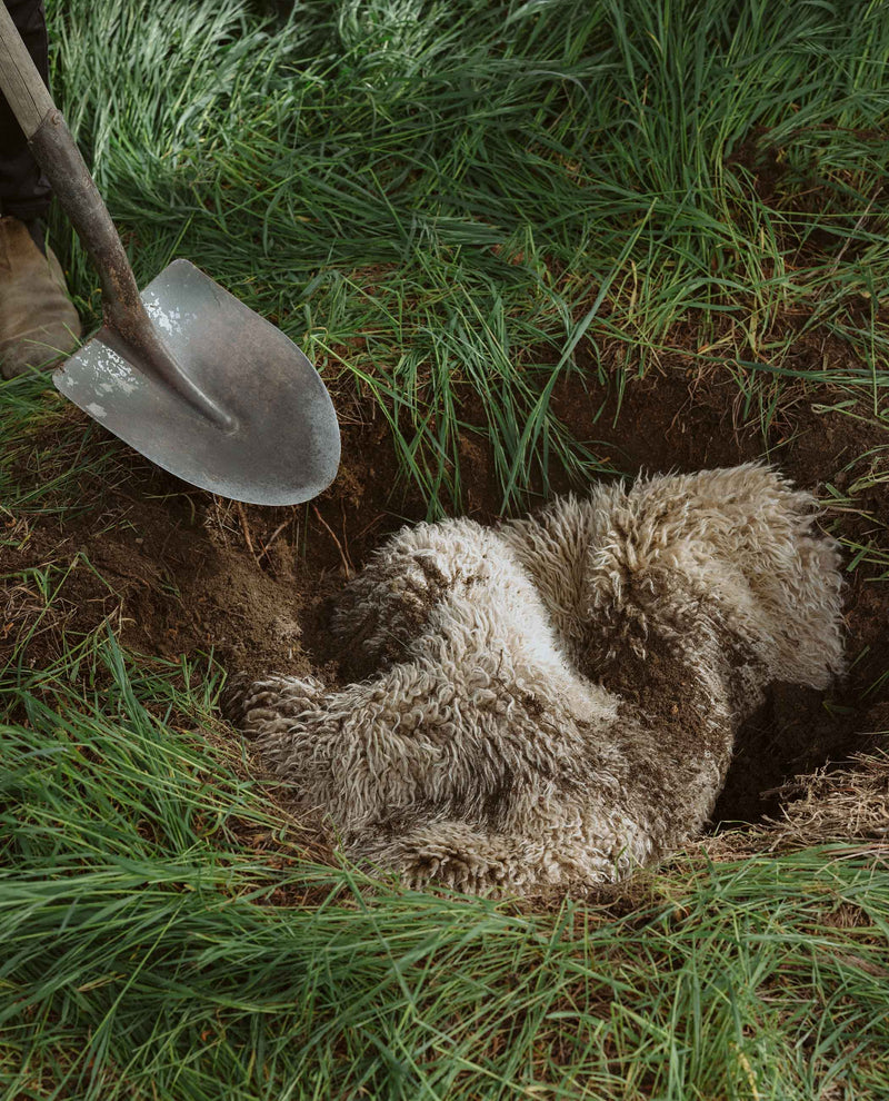 Biodegradable