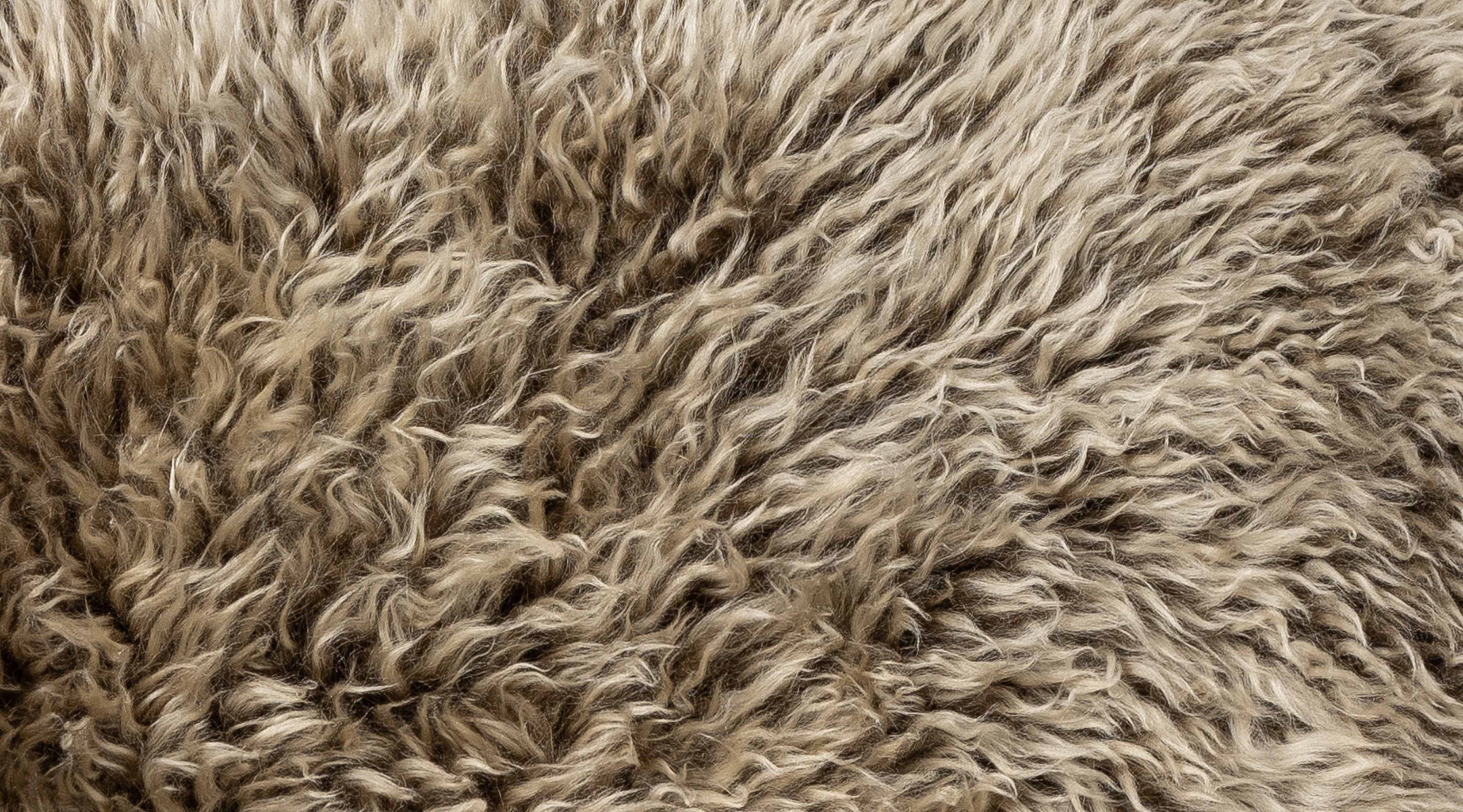 The Shaggy Bean Bag