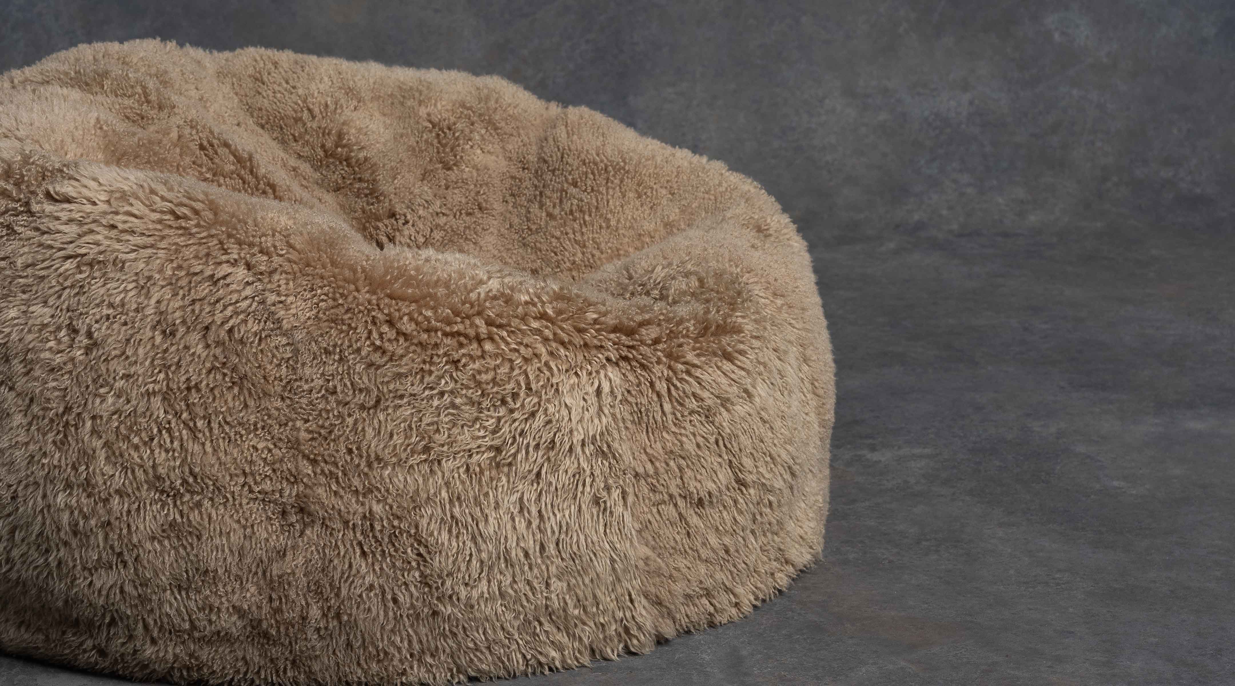 The Shaggy Bean Bag