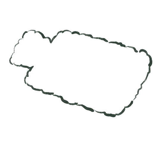 decorative image