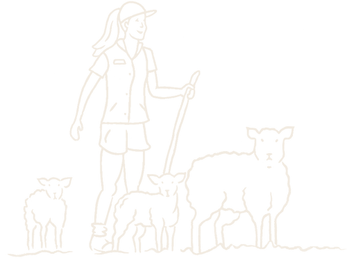 Decorative Image