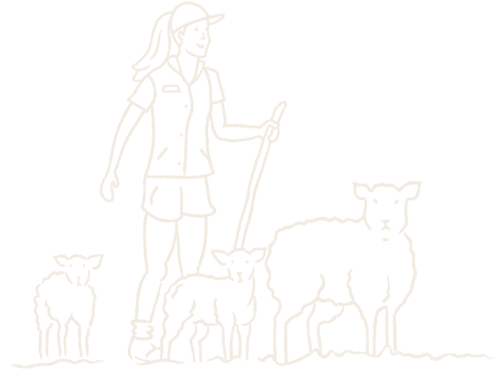 Decorative Image