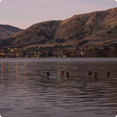 The Chilled Chicks of Wānaka