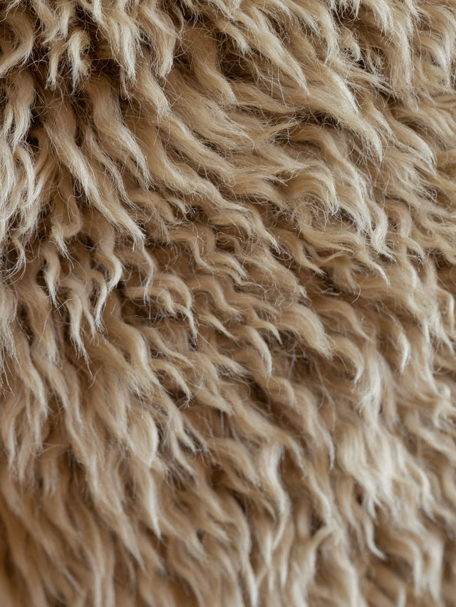 Long Wool Bendigo Sample