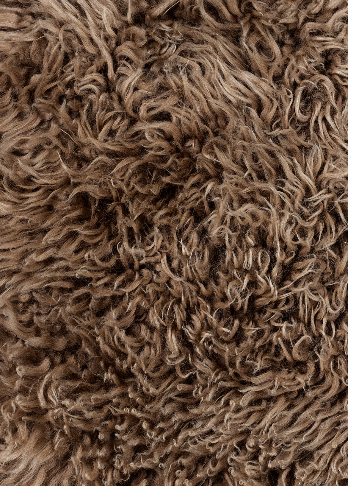The 40 Square Cushion Cover