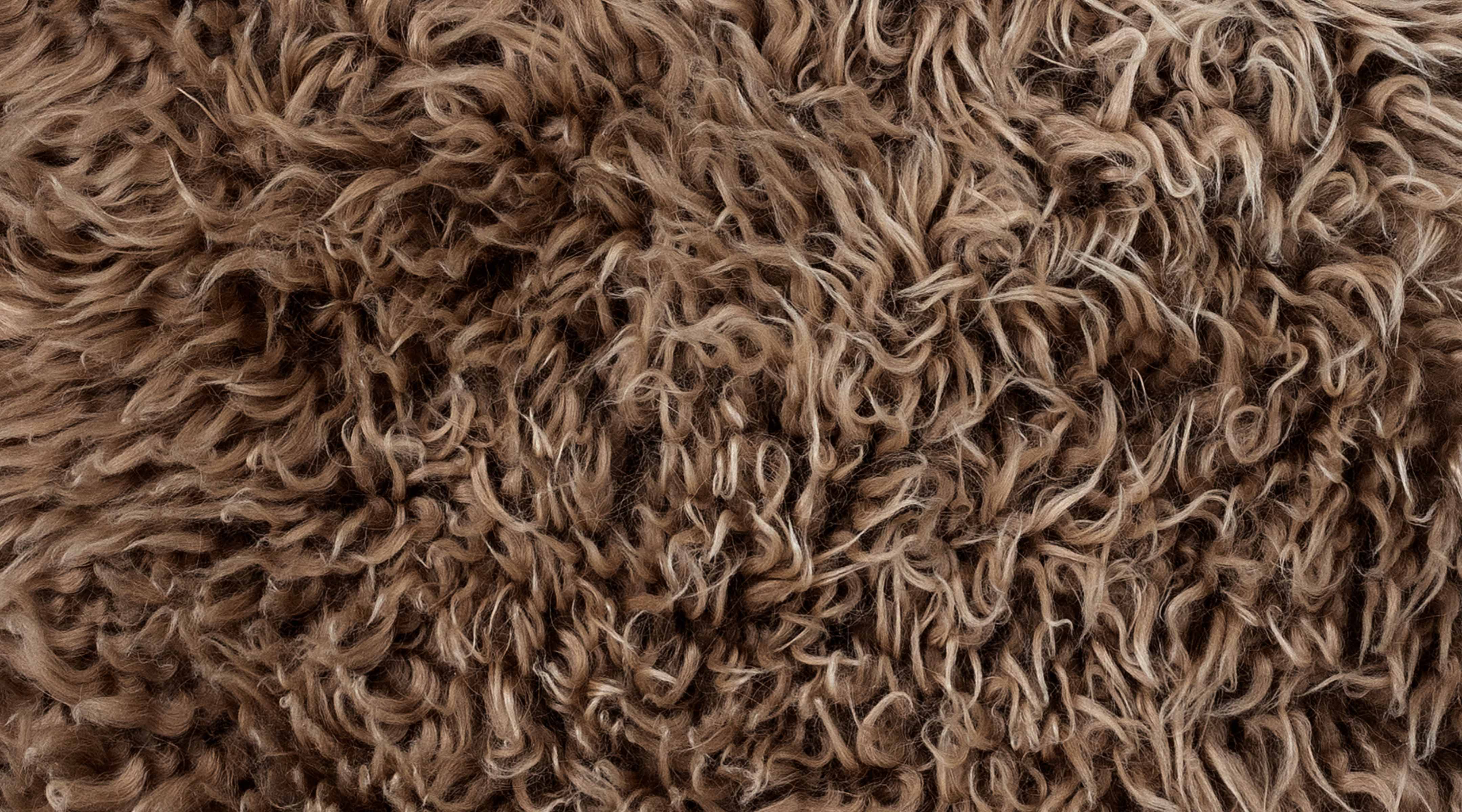 Extra Shaggy Wool Rocky Mountain Sample