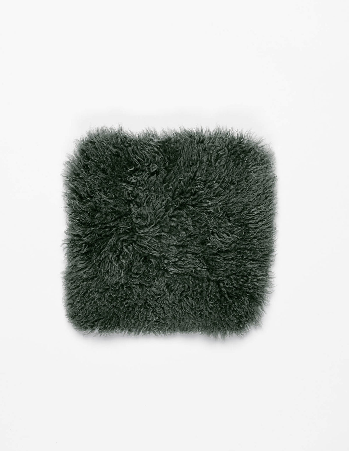 The Seat Cover
