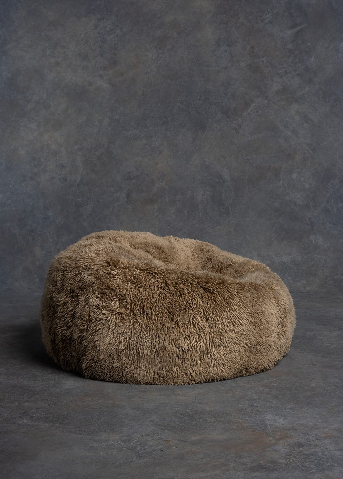 The Shaggy Bean Bag