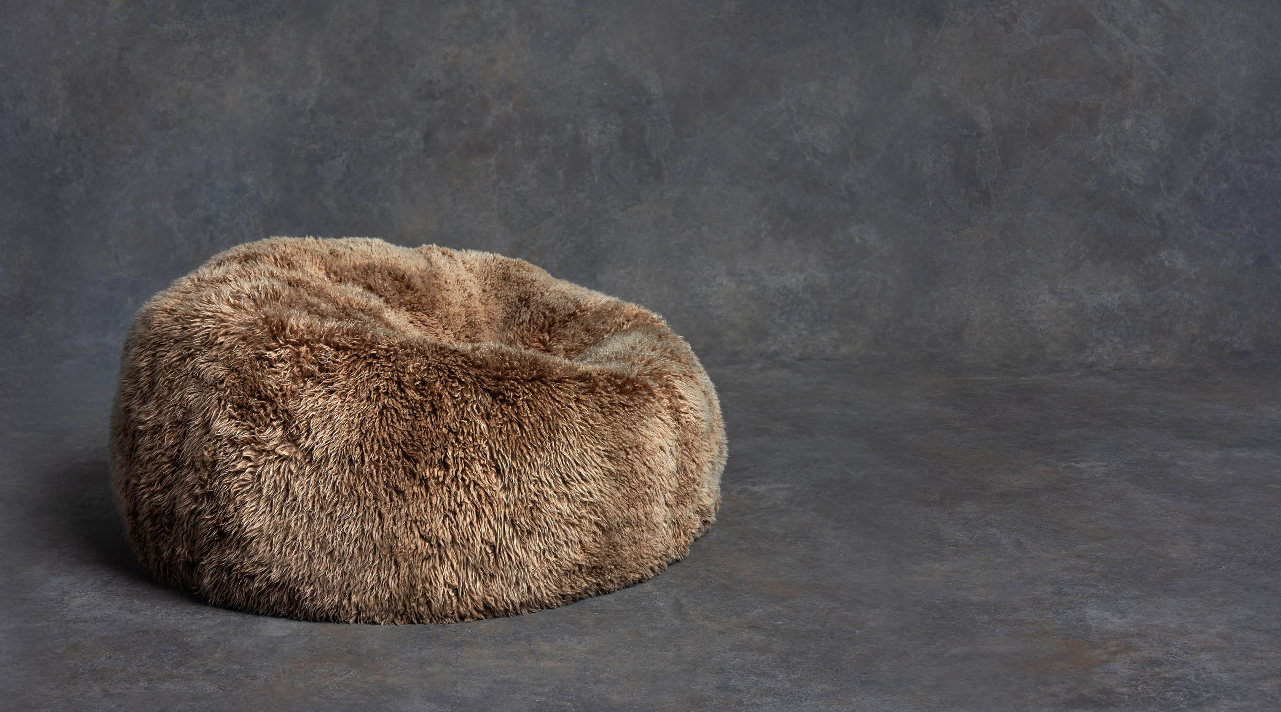 The Shaggy Bean Bag