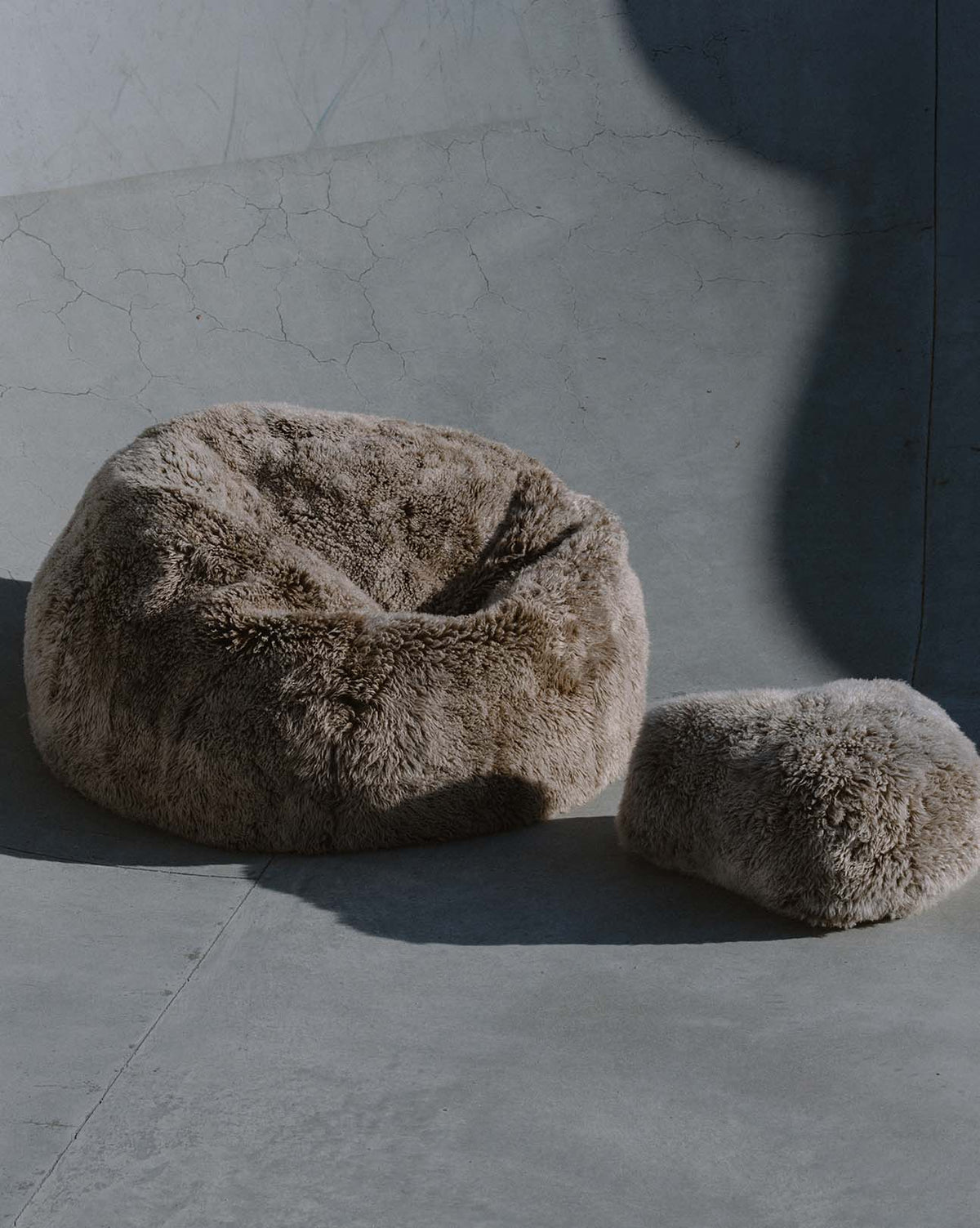 The Shaggy Bean Bag