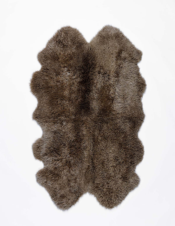 Shaggy Wool / Quarto / Rob Roy
