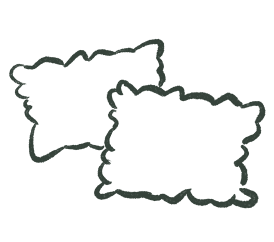decorative image