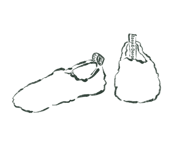 decorative image