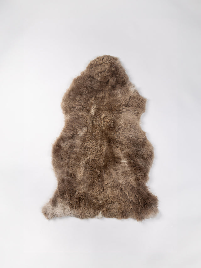 Natural Sheepskin Rug - Warm Multi