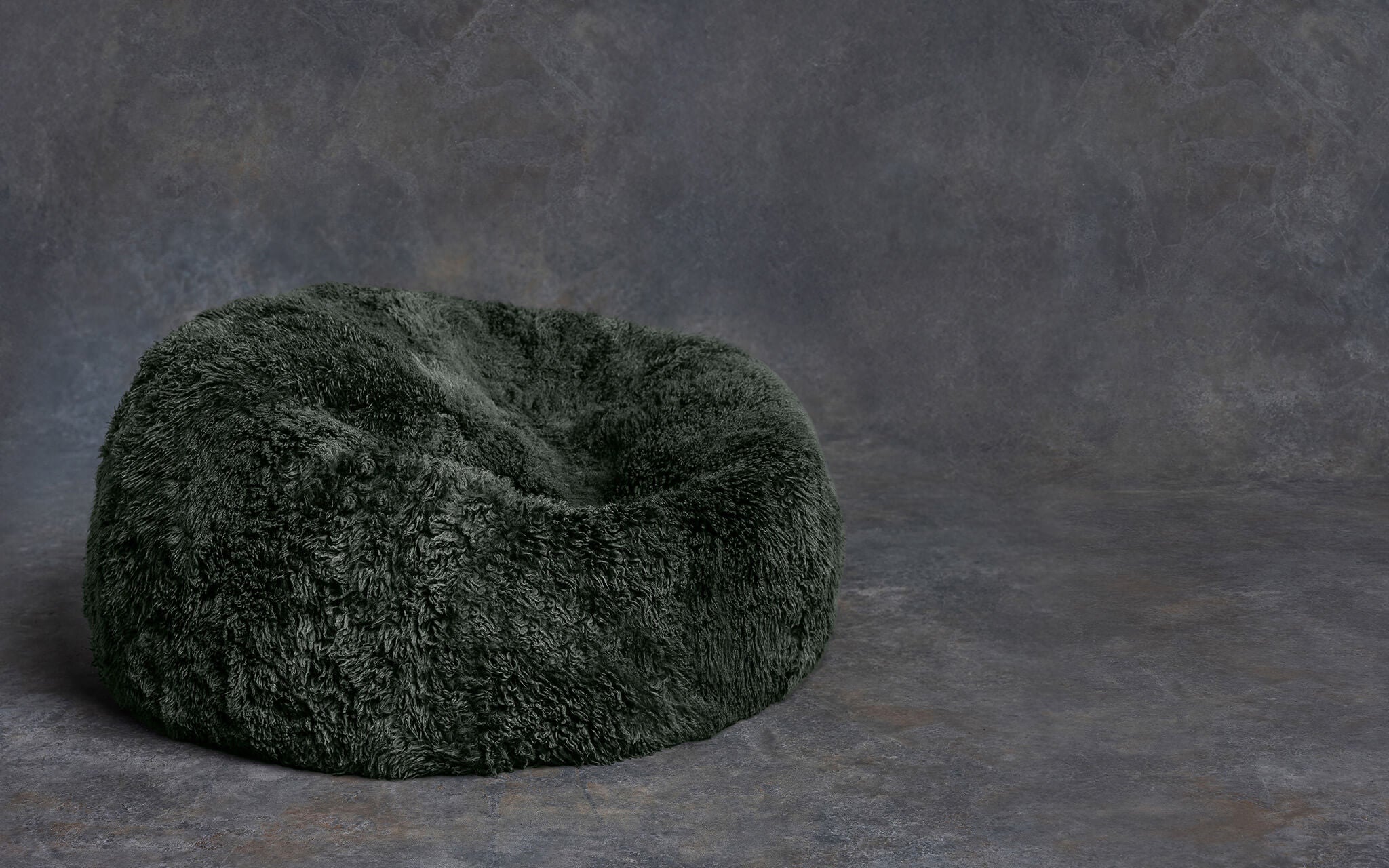 The Shaggy Bean Bag
